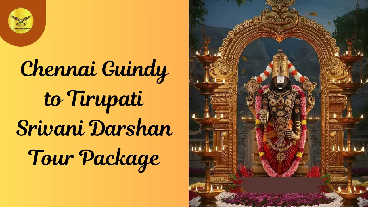 srivani vip break darshan from chennai guindy