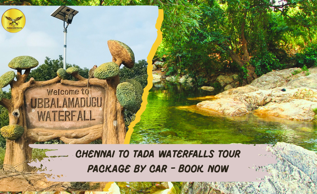 Chennai to Tada Waterfalls
