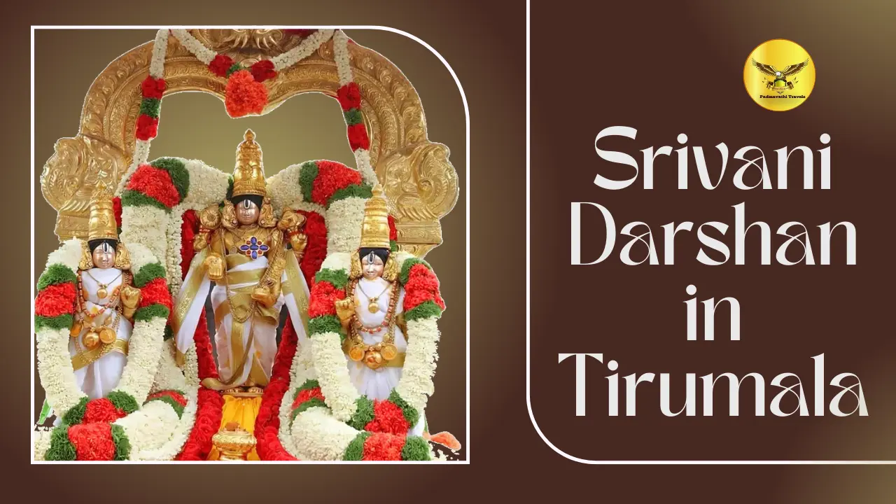 srivani darshan in tirumala