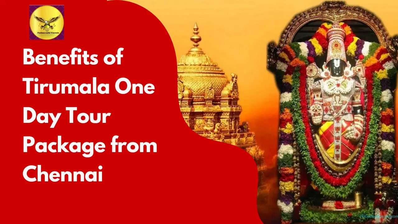tirumala one day darshan from chennai