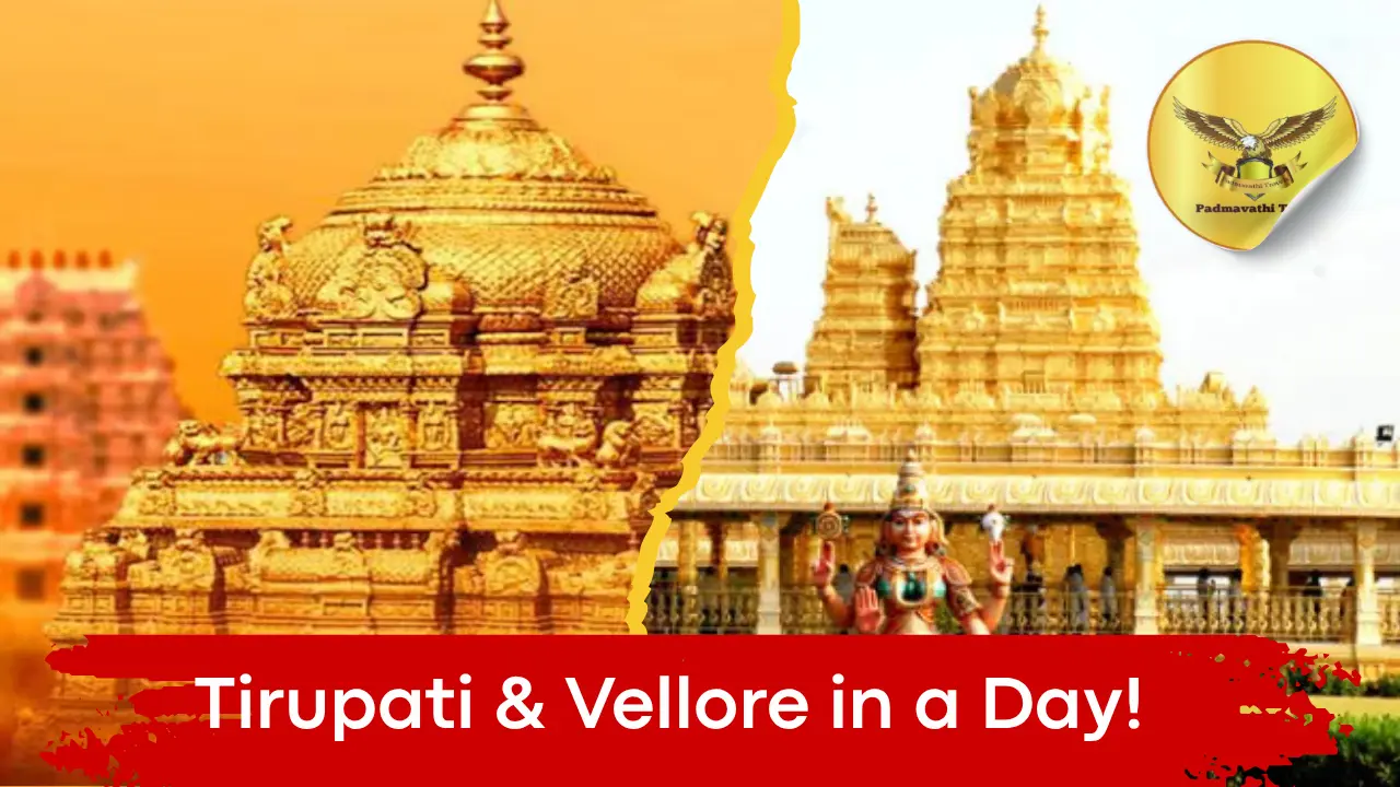 vellore tirupati one day