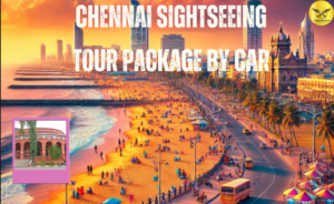 Enjoy Our Local Sightseeing Tour Packages to Explore Chennai