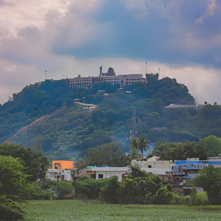 Palani Murugan Temple Tour