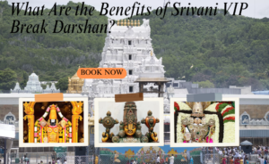 What Are the Benefits of Srivani VIP Break Darshan?