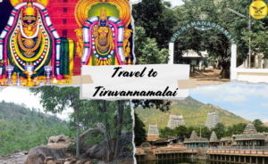 Look at a Peaceful One Day Package Travel to Tiruvannamalai