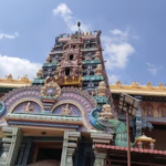 www.padmavathitravels.com (21)