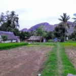 www.padmavathitravels.com (22)