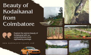 Escape to Kodaikanal from Coimbatore with Our Tour Package