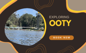 Plan Your Perfect Coimbatore to Ooty Trip Today