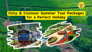 Best Ooty & Coonoor Summer Tour Packages for a Perfect Holiday