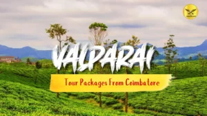 Coimbatore to Valparai Tour Package: A Scenic Escape to Nature