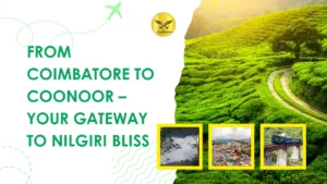 From Coimbatore to Coonoor – Your Gateway to Nilgiri Bliss