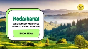 Coimbatore to Kodaikanal One Day Tour Package