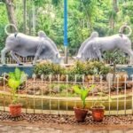 botanical-garden-puducherry-tourism-entry-fee-timings-holidays-reviews-header (1)
