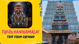 One Day Chennai To Thiruvannamalai Tour Package
