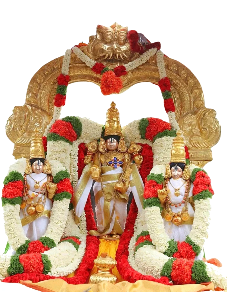 Tirumala NRI Darshan