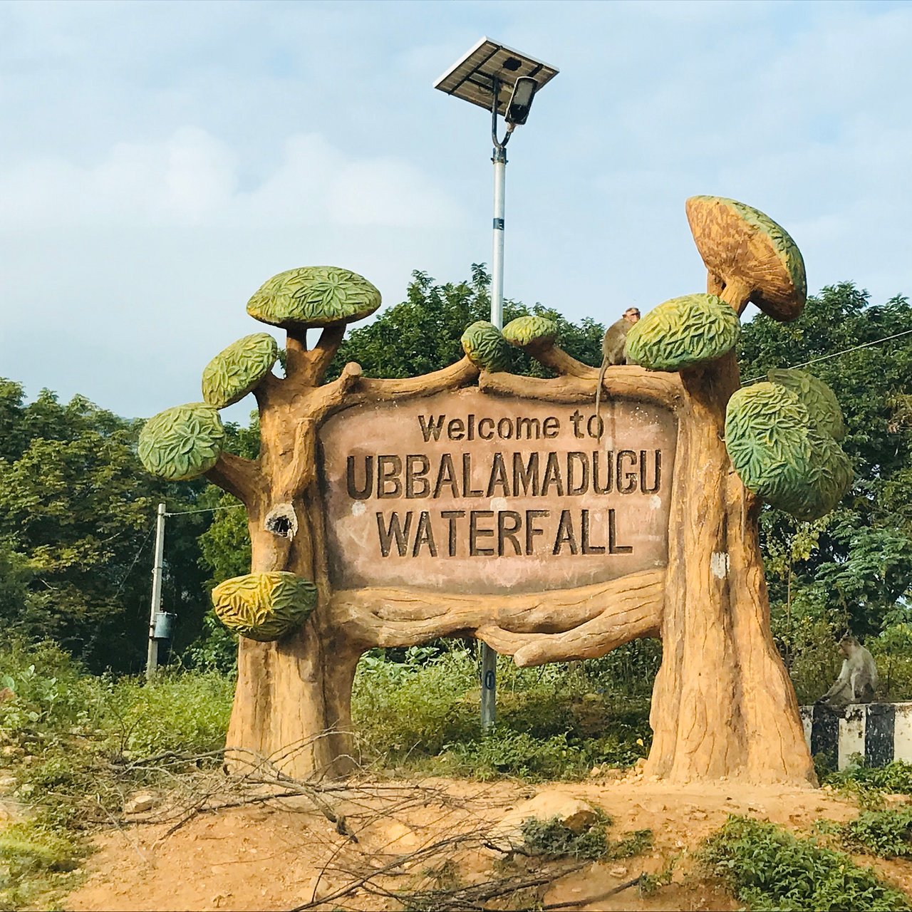 Chennai to Tada Waterfalls Tour Package
