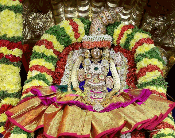 best travels for tirupati package from Vellore