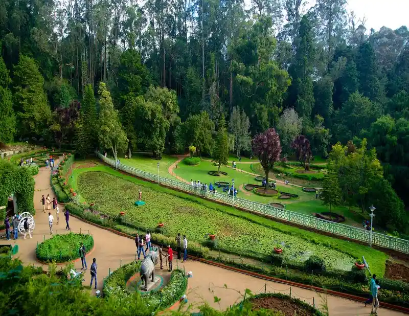 Beautiful flowers and greenery at Botanical Gardens, Ooty