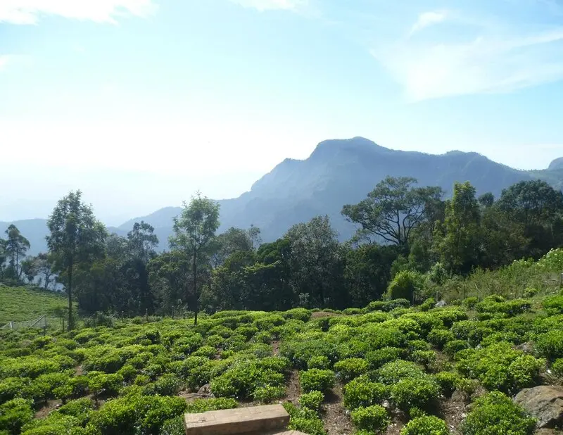 Stunning view of Laws Falls in Coonoor