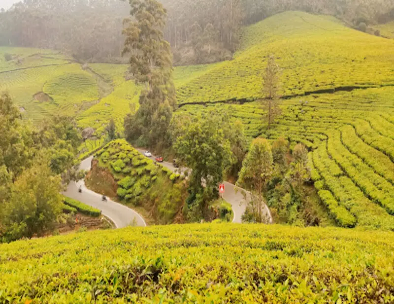 A picturesque spot ideal for photography with lush greenery at Photo Point