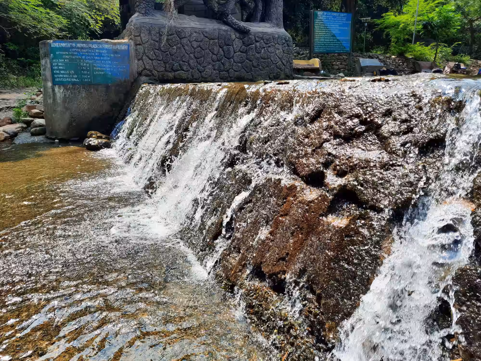 Tada Waterfalls Trip
