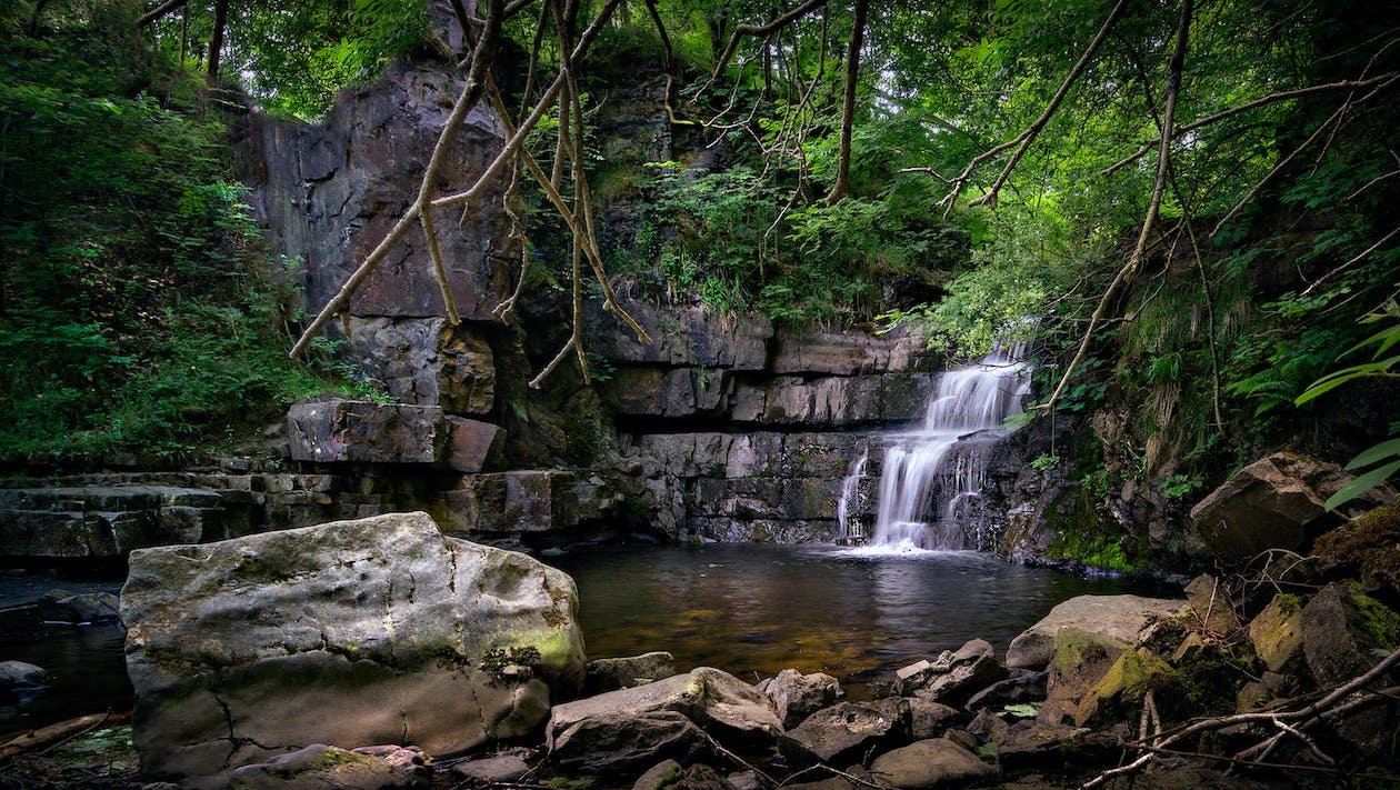 Tada Waterfalls Trip