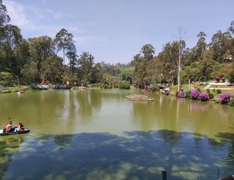 Serene view of Wellington Lake in Coonoor